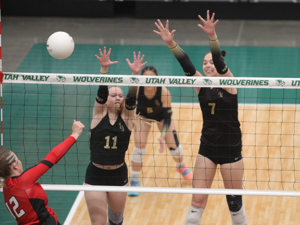 Best of the Best 2022 Daily Herald AllValley Girls Volleyball Team